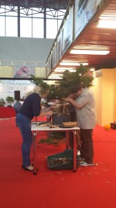 Ukážka tvarovania bonsaiov